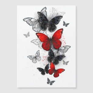 Flying Black and Red Morpho Butterflies Magnetic Invitation