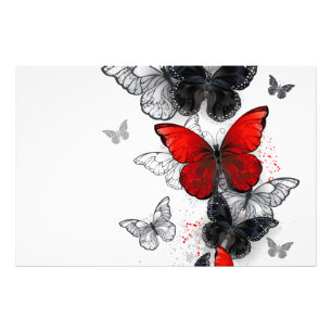 Flying Black and Red Morpho Butterflies Photo Print
