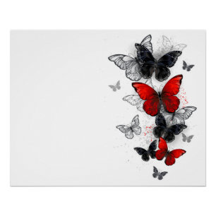 Flying Black and Red Morpho Butterflies Poster