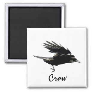Flying Black Crow Birdlover Magnet