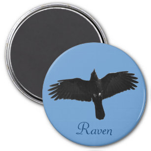 Flying Black Raven Corvid Crow-lover Photo Design Magnet