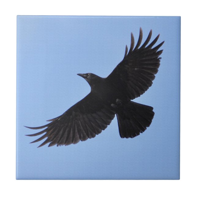 Flying Black Raven Corvid Crow-lover Photo Design Tile (Front)