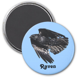 Flying Black Raven Crow-lover Photo Design 7 Magnet