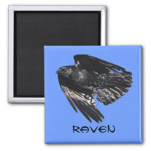 Flying Black Raven Crow-lover Photo Design 7 Magnet
