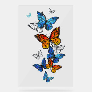 Flying Butterflies Morpho and Monarch Acrylic Sign