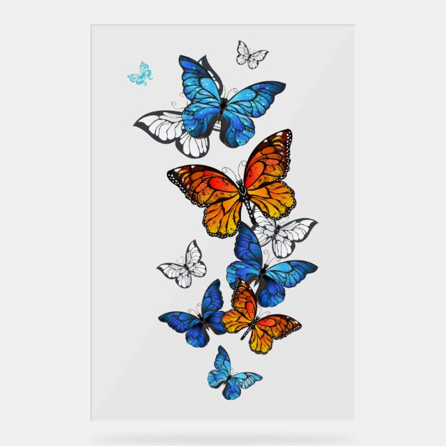 Flying Butterflies Morpho and Monarch Acrylic Sign (Front)