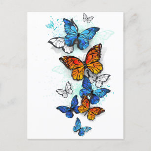 Flying Butterflies Morpho and Monarch Invitation Postcard