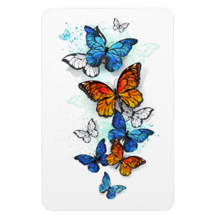 Flying Butterflies Morpho and Monarch Magnet