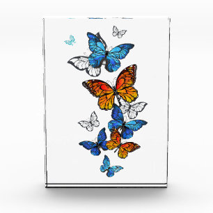 Flying Butterflies Morpho and Monarch Photo Block