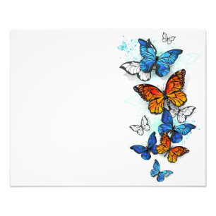 Flying Butterflies Morpho and Monarch Photo Print