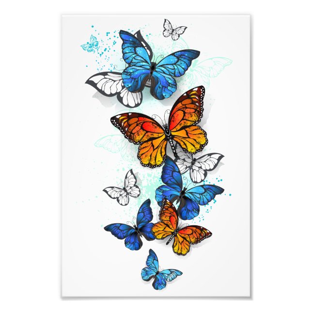 Flying Butterflies Morpho and Monarch Photo Print (Front)