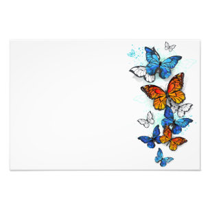 Flying Butterflies Morpho and Monarch Photo Print