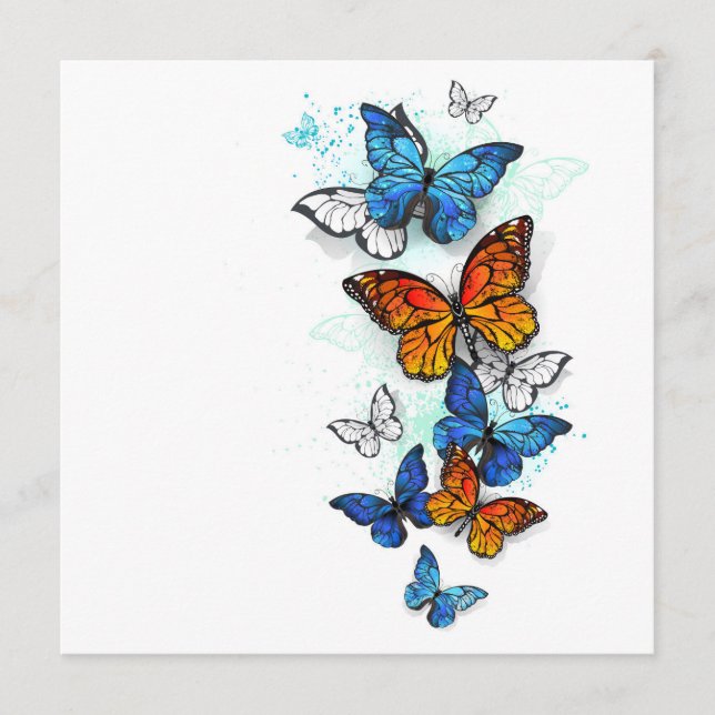 Flying Butterflies Morpho and Monarch Program (Front)