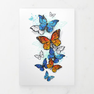 Flying Butterflies Morpho and Monarch Tri-Fold Announcement