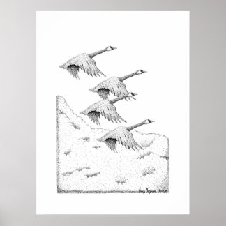 Flying Canada Geese Pen and Ink Drawing Poster