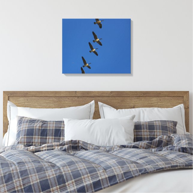 Flying Canvas Print (Insitu(Bedroom))