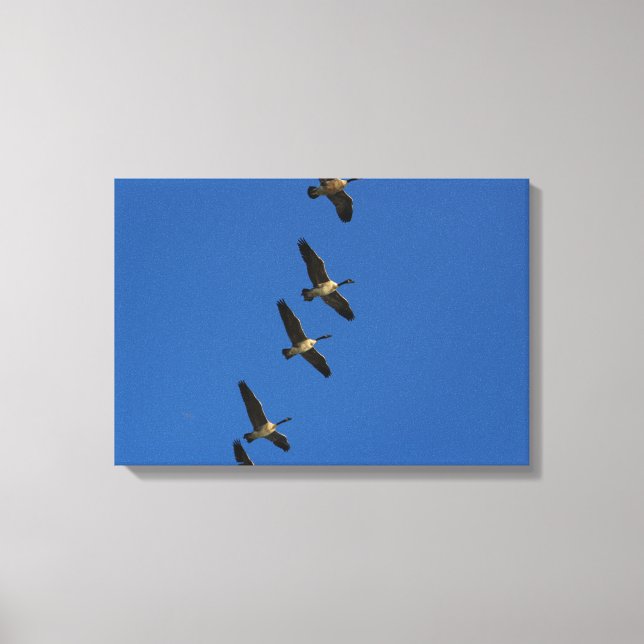 Flying Canvas Print (Front)