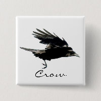 FLYING CROW Raven Wildlife Bird Art