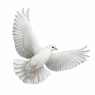 Flying Dove Ornament Photo Sculpture Ornament