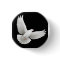 Flying Dove Pin