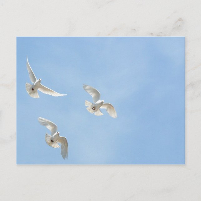 Flying doves postcard (Front)