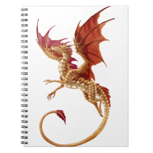 flying dragon notebook