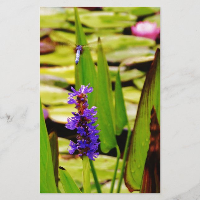 Flying Dragonfly Stationery (Front)