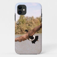 flying duck over water photograph
