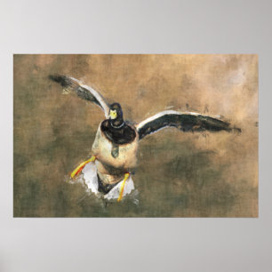 Flying Duck Poster