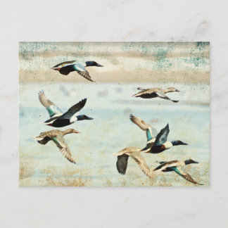 Flying Ducks Watercolor Postcard