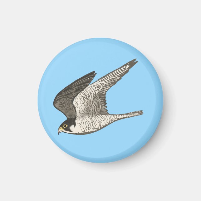 Flying Falcon on Blue Magnet (Front)
