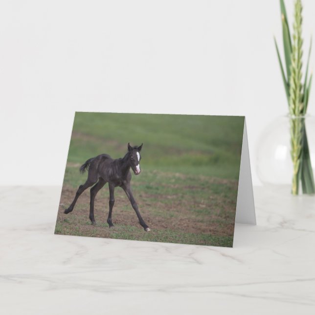 Flying Filly: Galloping to Freedom Greeting Card (Front)