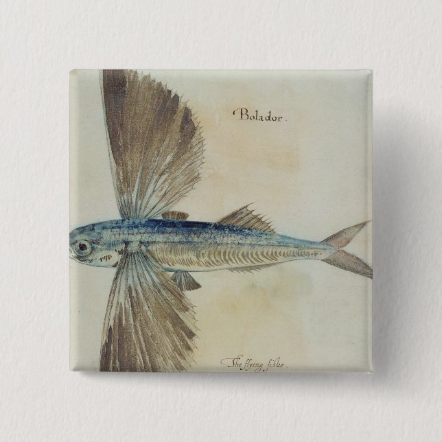 Flying-Fish 2 Inch Square Button (Front)