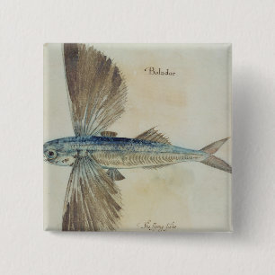 Flying-Fish 2 Inch Square Button