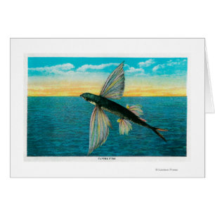 Flying Fish at Catalina Island