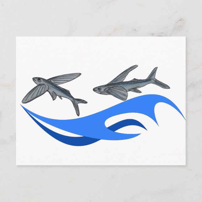 Flying Fish (Exocet) Postcard (Front)