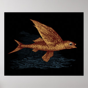 Flying Fish Poster