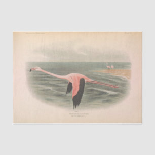 Flying Flamingo Bird Ephemera Decoupage Tissue Paper