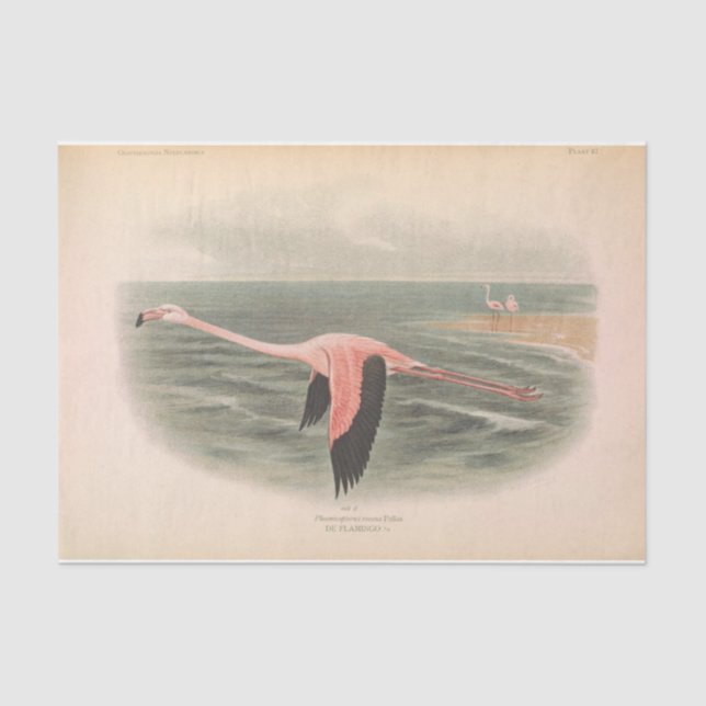 Flying Flamingo Bird Ephemera Decoupage Tissue Paper (Front)