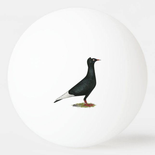 Flying Flight Black Cap Pigeon Ping Pong Ball (Front)
