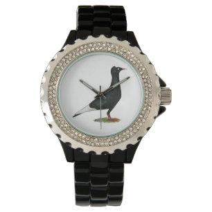 Flying Flight Black Cap Pigeon Watch