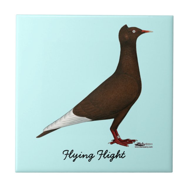 Flying Flight Cap Pigeon Tile (Front)