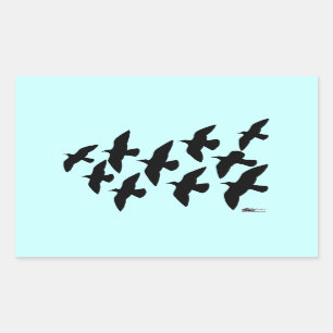 Flying Flight Pigeons Sticker