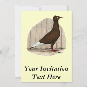 Flying Flight Red Cap Pigeon Invitation