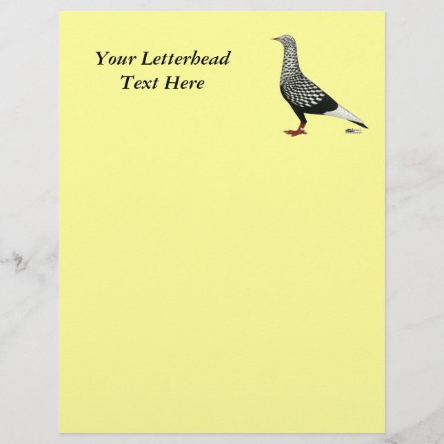 Flying Flight Teager Pigeon (Front)