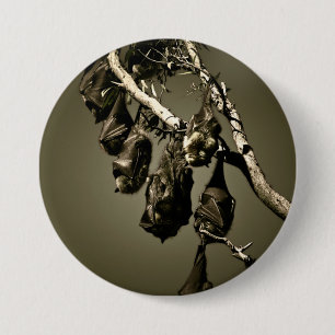 Flying Foxes 3 Inch Round Button