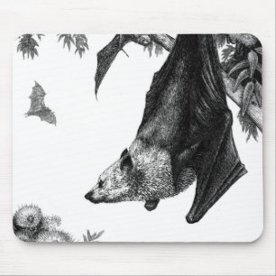 Flying Foxes Mousepad