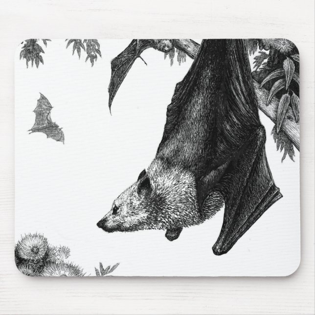 Flying Foxes Mousepad (Front)