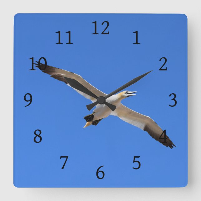 Flying Gannet Bird Blue Sky Square Wall Clock (Front)