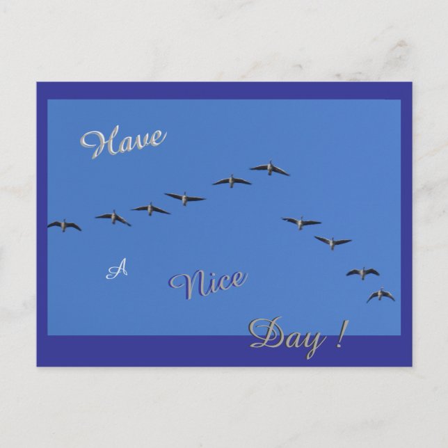 Flying Geese Cust. Have a Nice Day Postcard (Front)